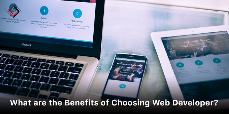 Benefits of Choosing Web Developer